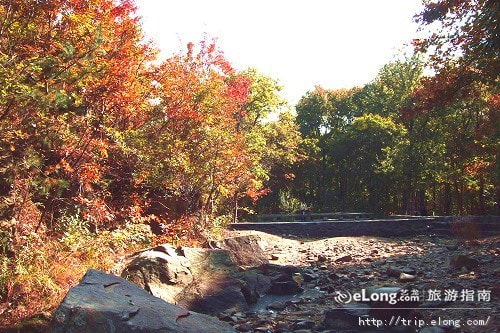 http://m.omega3-ala.com/pics/default/download/adf04198b31a9644701f3e60537a36fd.jpg