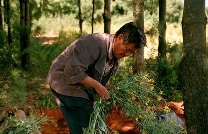 http://m.omega3-ala.com/pics/default/download/b0ea9f9bf21901a92c33d9a557d72839.jpg