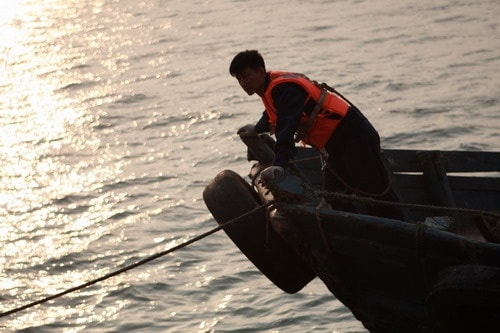 http://m.omega3-ala.com/pics/default/download/b219bf93653cf147ee2995a11cc4dd8b.jpg