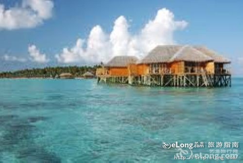 http://m.omega3-ala.com/pics/default/download/b32f517cb1e87a6faa4e2607d14e66a1.jpg