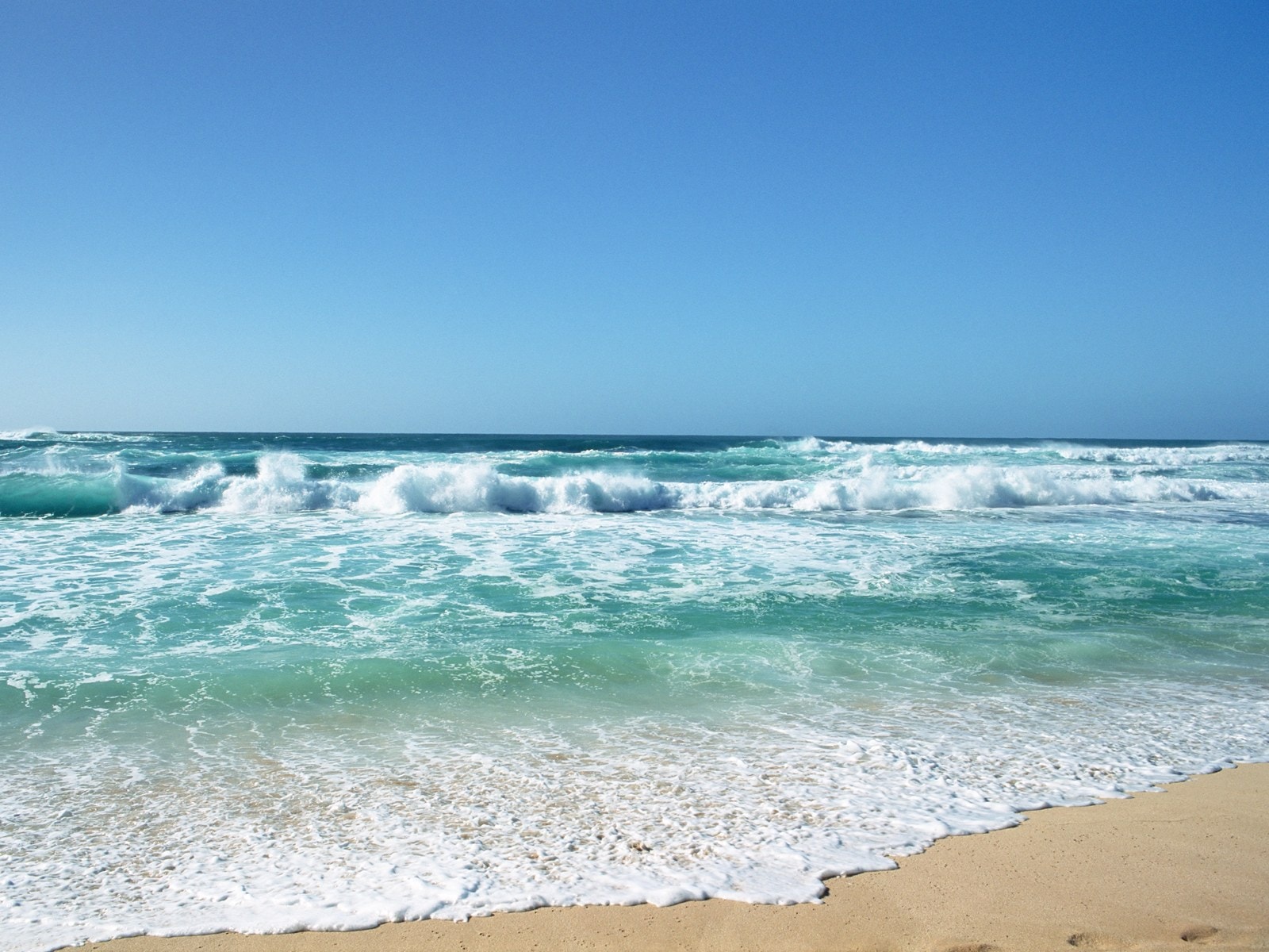 http://m.omega3-ala.com/pics/default/download/b38c517d46b7081c08dc398d747bd0a0.jpg