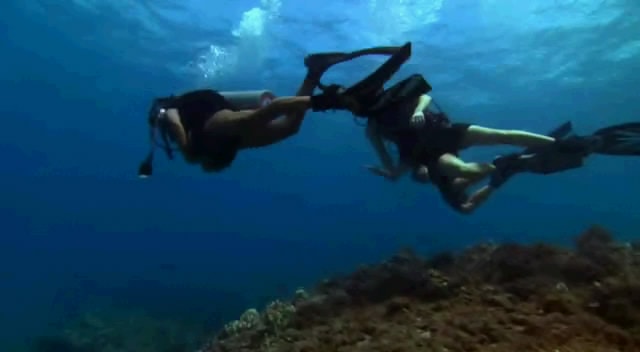 http://m.omega3-ala.com/pics/default/download/b3ed01a2ae3e5fb05041bb54cbedfd8a.jpg