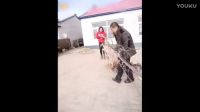 這個段子太搞笑了，不笑你打我