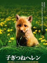 子狐物語(yǔ)（微電影）