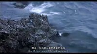 中國(guó)首部鳥(niǎo)類電影《天賜》預(yù)告片