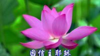 我是最有福的人（恩同）_標(biāo)清