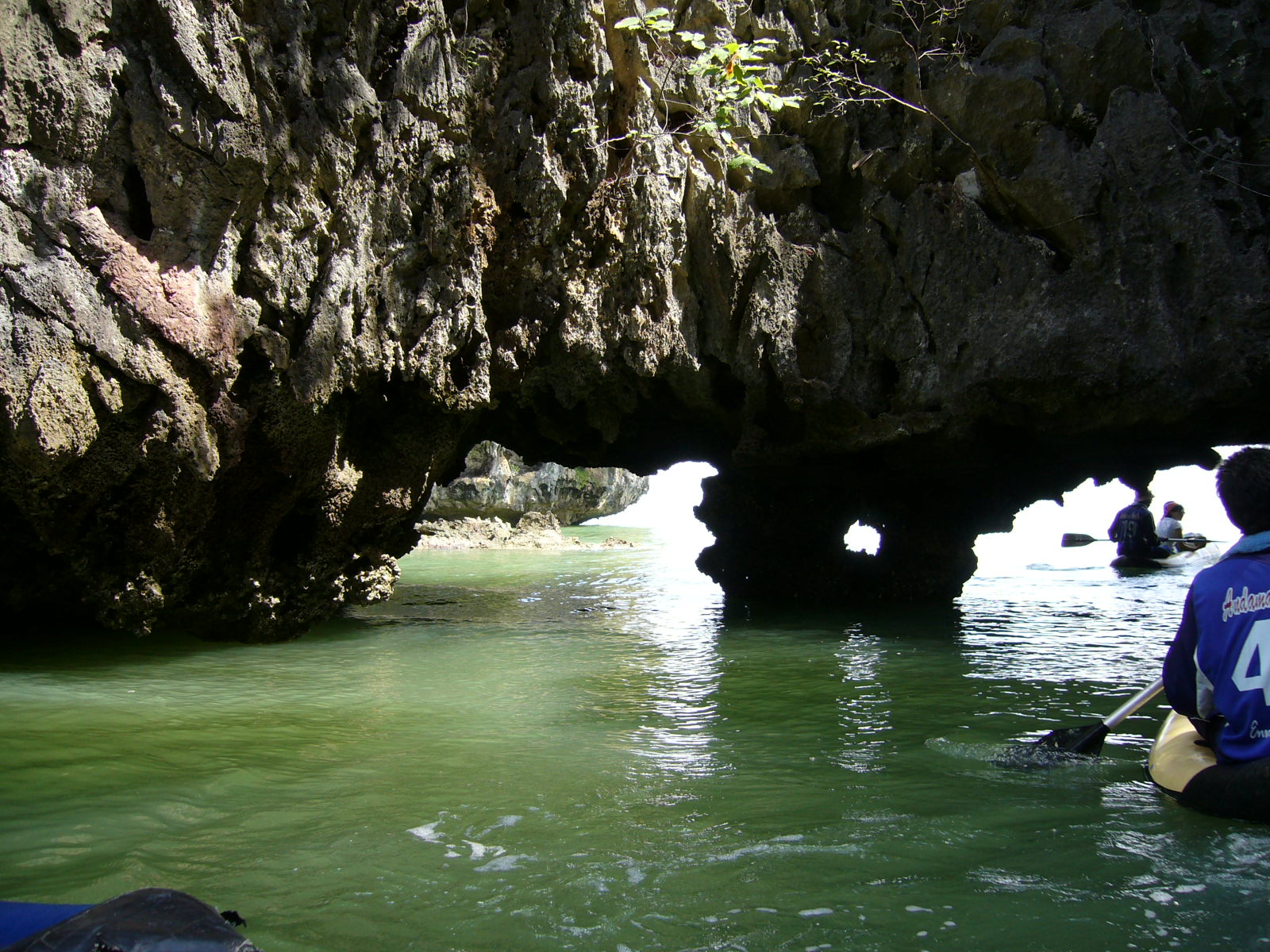 http://m.omega3-ala.com/pics/default/download/b5c143ec67a45aec9c23e25204d2b6dc.jpg
