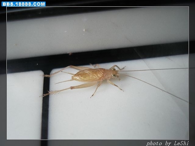 http://m.omega3-ala.com/pics/default/download/b5e4989a69abbae64c39ca29f8188dd5.jpg