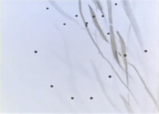 http://m.omega3-ala.com/pics/default/download/b66b2b9c2ebd3e0c8a5492087c5973ec.jpg