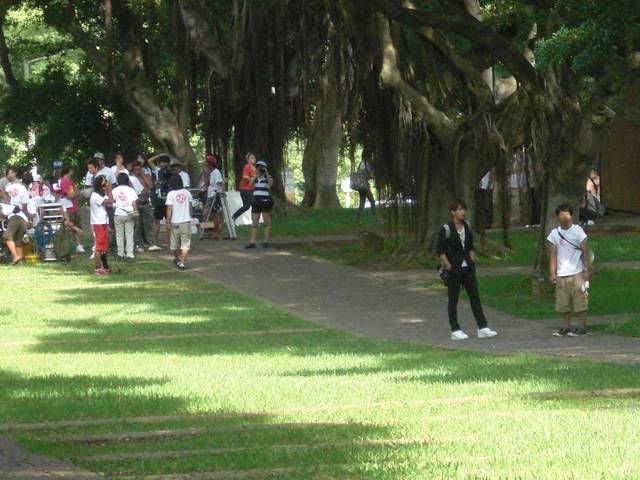 http://m.omega3-ala.com/pics/default/download/b69537a43f323cfdc80348ca97bff19c.jpg