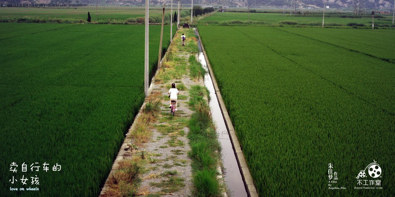 http://m.omega3-ala.com/pics/default/download/b876a8c91d57c10028030afb0602753c.jpg