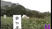 福星闖江湖(財迷心竅手段好)
