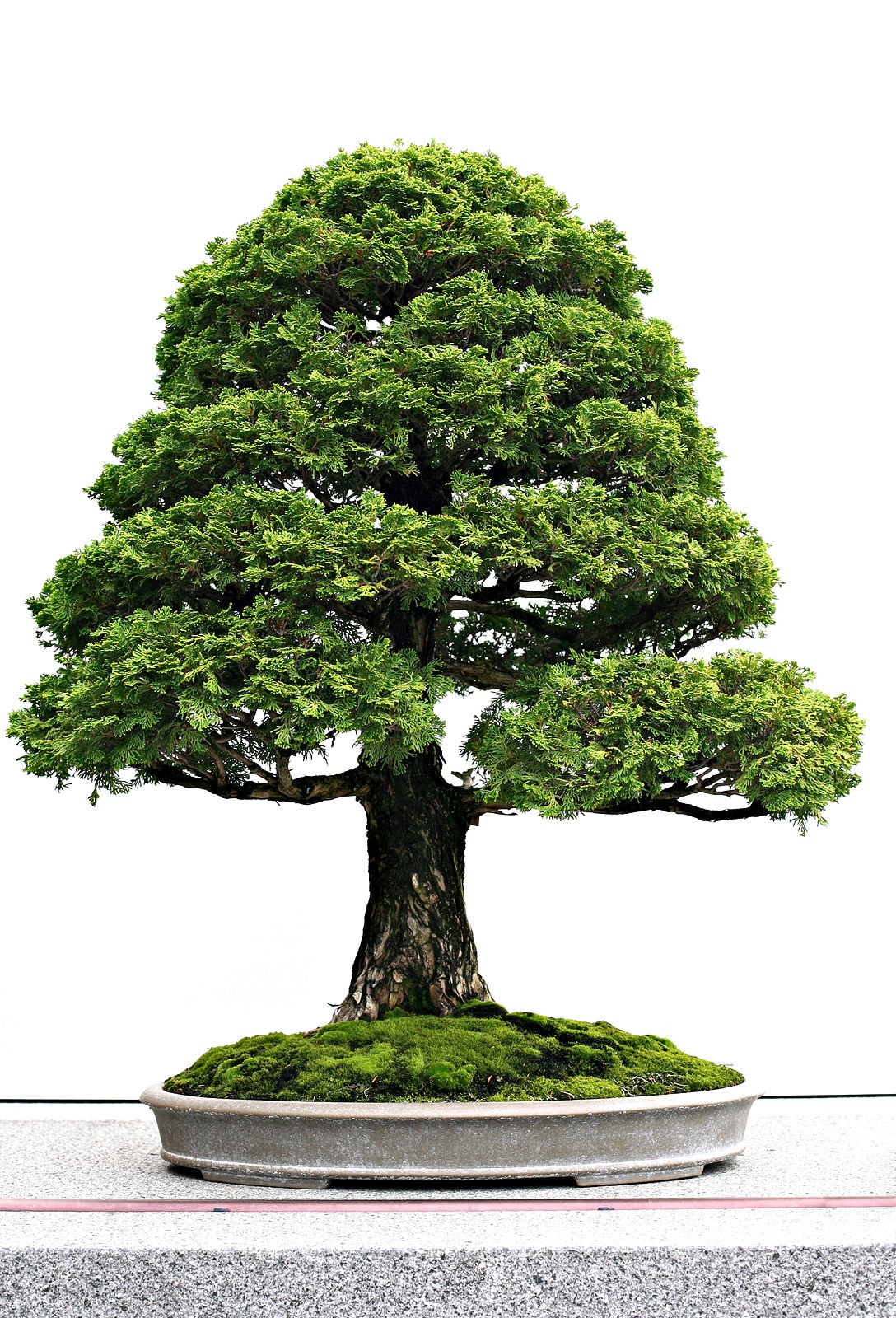 http://m.omega3-ala.com/pics/default/download/b9f658b9c04f71e53b5db18eb12e2bfd.jpg