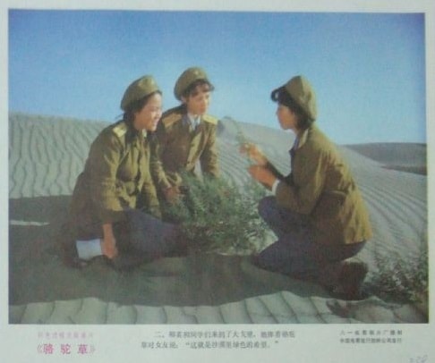 http://m.omega3-ala.com/pics/default/download/bbaeb7357d6acd3af431294958761d1c.jpg