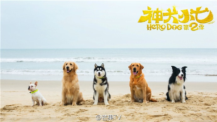 http://m.omega3-ala.com/pics/default/download/bbc164f1121fcfeb3d0a51a241bf0328.jpg