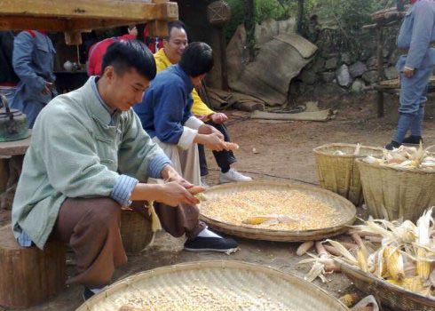 http://m.omega3-ala.com/pics/default/download/bddce5f08a57e1b0e803a42d10cd6b86.jpg