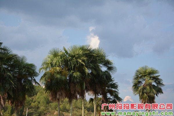 http://m.omega3-ala.com/pics/default/download/bf626989fdbfd63a1b33de70eb4d58a4.jpg