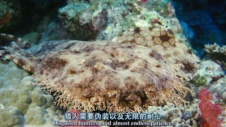 http://m.omega3-ala.com/pics/default/download/bf9b3c7d053429d56f8ff048daa99788.jpg