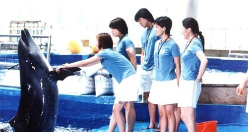 http://m.omega3-ala.com/pics/default/download/c1395ab213217c9dd0f3aebe0798448c.jpg