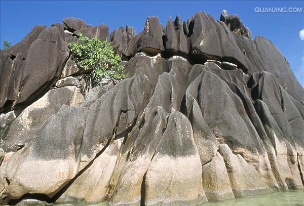 http://m.omega3-ala.com/pics/default/download/c239dd842cc1996076ef6d63f9f08a43.jpg