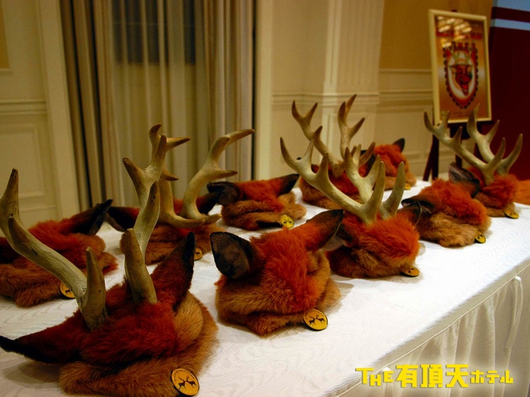 http://m.omega3-ala.com/pics/default/download/c2a2739ad2bd82890d846d2dea2973bb.jpg