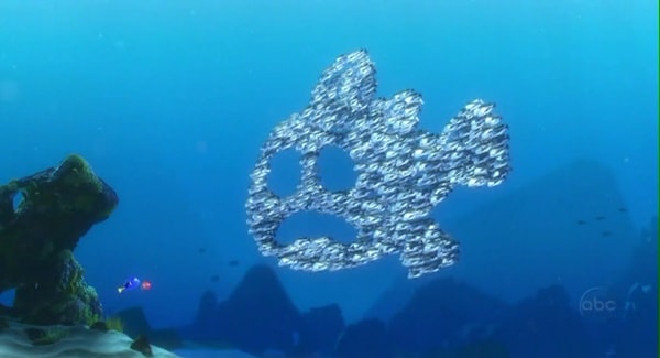 http://m.omega3-ala.com/pics/default/download/c355111278aef08b655e877db947a8d1.jpg