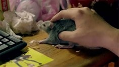 十全大宅男特輯