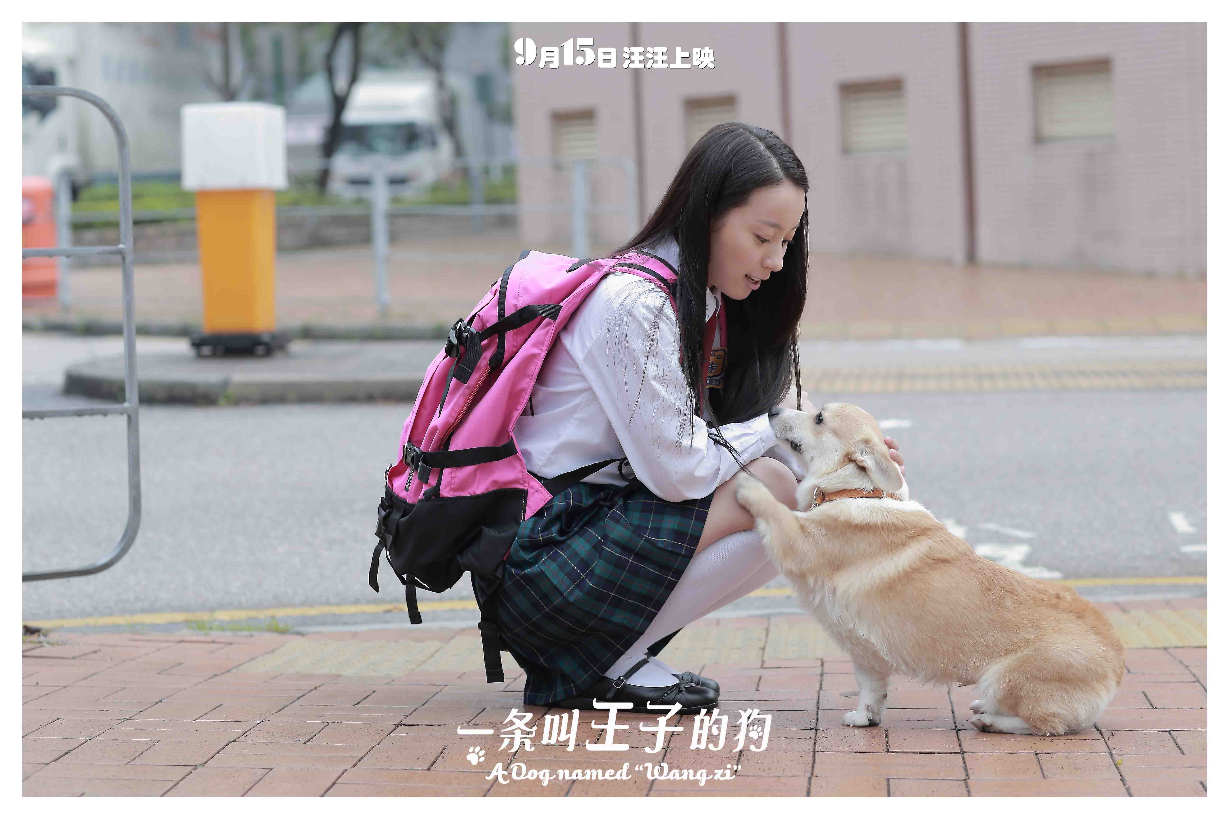 http://m.omega3-ala.com/pics/default/download/c9c2747960d6bd9455a60fee1c484a99.jpg