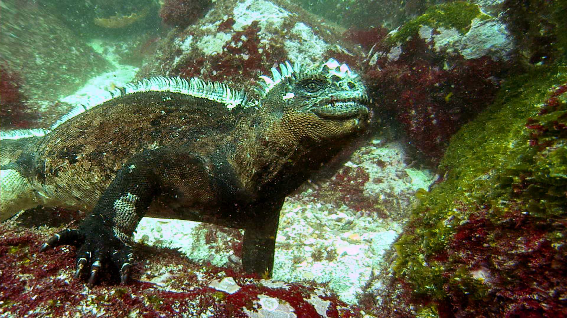 http://m.omega3-ala.com/pics/default/download/ca50d04b3afdc45daf6e17e0c4b74944.jpg