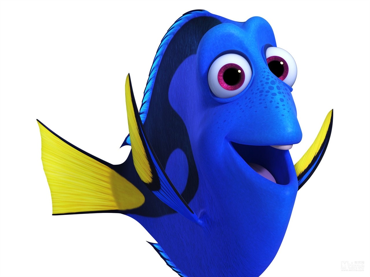 http://m.omega3-ala.com/pics/default/download/ca86d7957cc8ec755ee3e004e7769c66.jpg