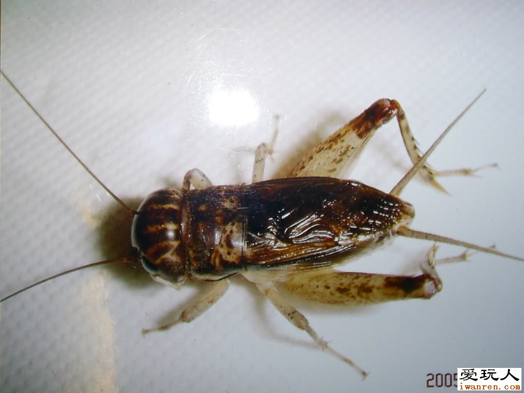 http://m.omega3-ala.com/pics/default/download/caccf46ae6489b924c86b49e78e7970b.jpg