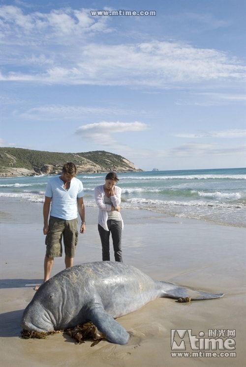 http://m.omega3-ala.com/pics/default/download/cb038b0d0835c97c7af338ad186a0dde.jpg