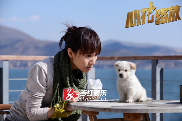 http://m.omega3-ala.com/pics/default/download/cbb30619820d46473ad4eb2b3b73b06c.jpg