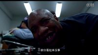 《九條命》如果有一天你醒來的時候發現自己變成了一只貓-你會怎么辦
