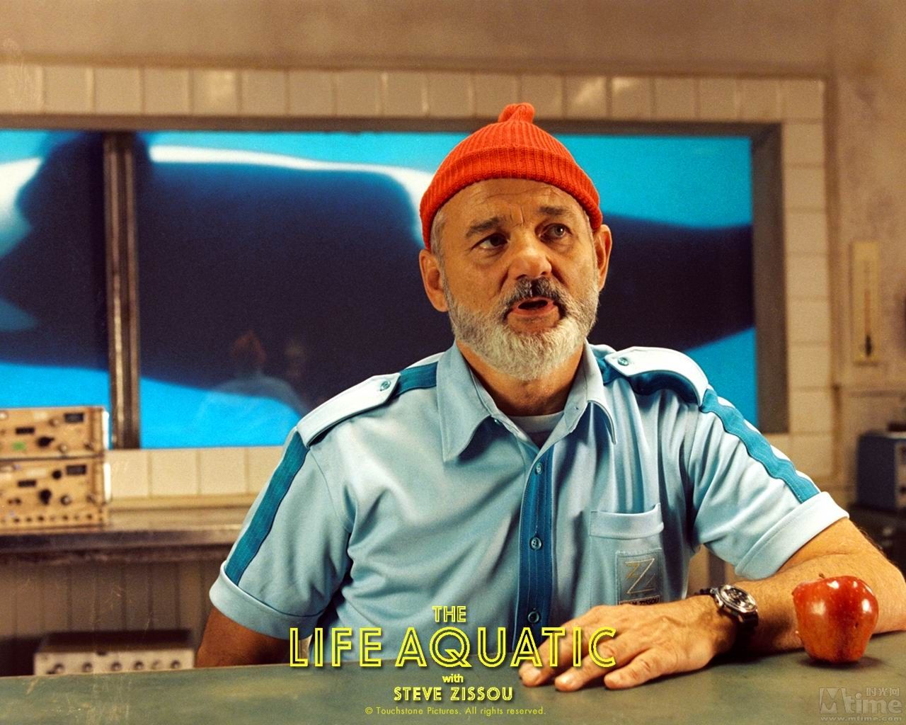 http://m.omega3-ala.com/pics/default/download/cfa8017974b9b0d0e0d005ea477730db.jpg