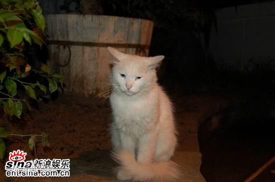 http://m.omega3-ala.com/pics/default/download/d011f95313007f94305322f2265c63af.jpg