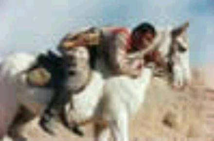 http://m.omega3-ala.com/pics/default/download/d3bbf6825e6a165b99b027d731f649f5.jpg