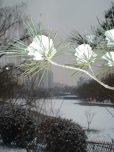 http://m.omega3-ala.com/pics/default/download/d49f790c75cadde56d1f43b3fee05d15.jpg