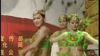 固始縣千姿舞蹈學校編排2008年春晚【碧波孔雀】