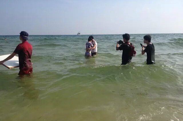 http://m.omega3-ala.com/pics/default/download/d6561d85960df6ece87cad8925843b48.jpg