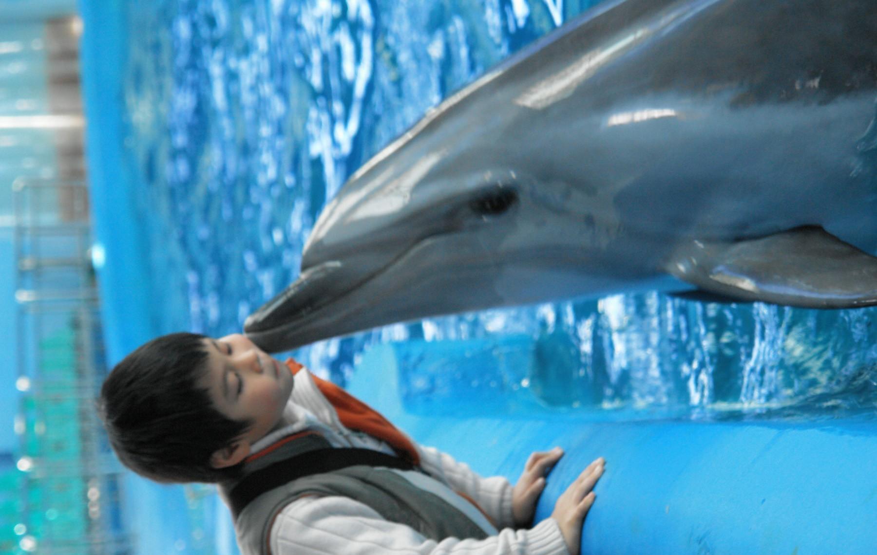 http://m.omega3-ala.com/pics/default/download/d7b41e14239307b67e606a20be9c5f6d.jpg