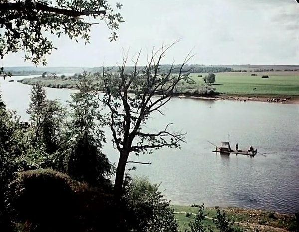 http://m.omega3-ala.com/pics/default/download/d7d4002c5c6ccb66a989d63ba103b28d.jpg