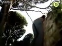 那年夏天的臺(tái)風(fēng)藝瑟出場