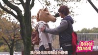 劇能扯 放膽噴 2016 《奔跑吧小百合醬》再創(chuàng)驚人畫(huà)面 人馬少女實(shí)力虐狗300回合