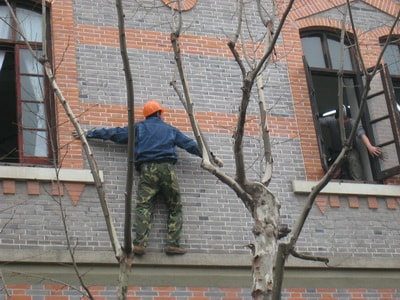 http://m.omega3-ala.com/pics/default/download/d9428fd8074ff3324a5ed15eec463838.jpg