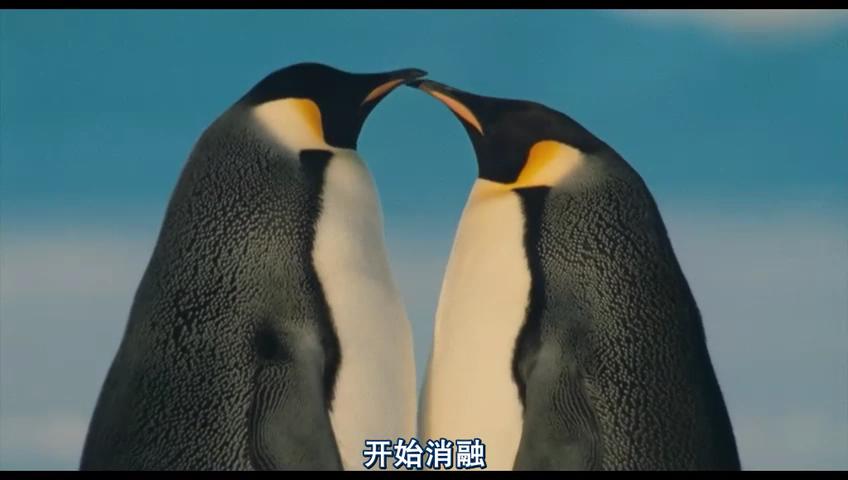 http://m.omega3-ala.com/pics/default/download/da1af9bce0f4825e0cf3082c970b028c.jpg