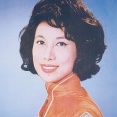 潘迪華?