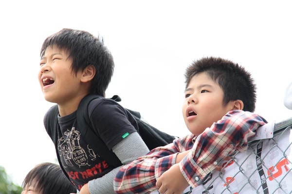 http://m.omega3-ala.com/pics/default/download/dc57c39fb5ff155594f46f4f5be77e04.jpg