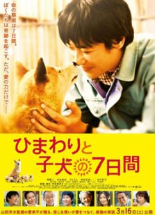 向日葵與幼犬的7天