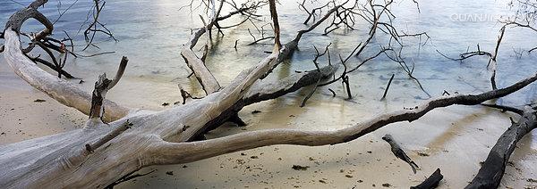 http://m.omega3-ala.com/pics/default/download/ded0031dbec52c121f54b16d67002f11.jpg